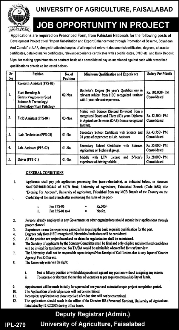 Latest University of Agriculture UAF Education Jobs Faisalabad 2025